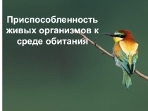 Презентация по предмету Естествознание, раздел Биология