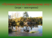 Игра- презентация Путешествие по карельскому лесу .
