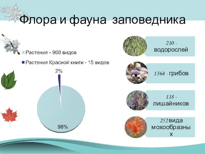 Презентация О заповедниках Начальная школа 21 века Флора и фауна заповедника Флора и фауна заповедника