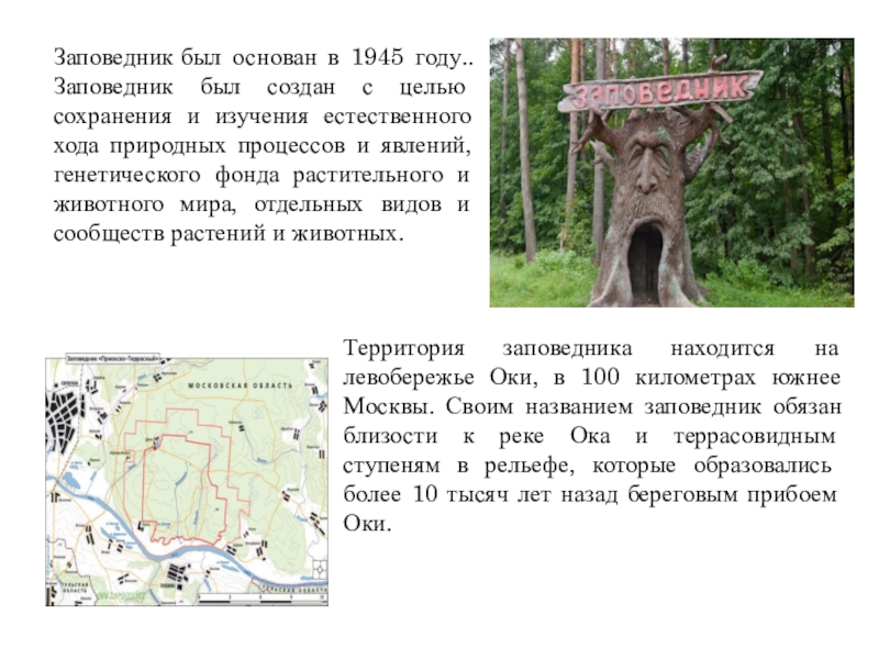 Презентация О заповедниках Начальная школа 21 века Заповедник был основан в 1945 году.. Заповедник был создан с целью сохранения Заповедник был основан в 1945 году.. Заповедник был создан с целью сохранения и изучения естественного хода природных процессов