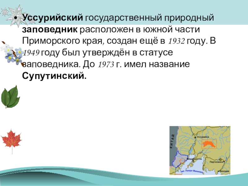 Презентация О заповедниках Начальная школа 21 века Уссурийский государственный природный заповедник расположен в южной части Приморского края, создан Уссурийский государственный природный заповедник расположен в южной части Приморского края, создан ещё в 1932 году. В 1949