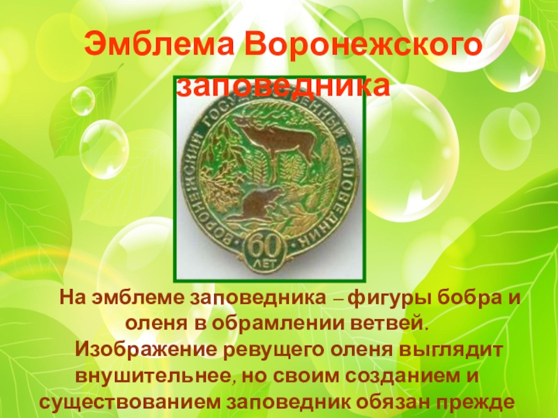 Презентация О заповедниках Начальная школа 21 века На эмблеме заповедника – фигуры бобра и оленя в На эмблеме заповедника – фигуры бобра и оленя в обрамлении ветвей. Изображение