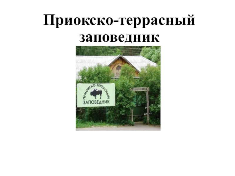Презентация О заповедниках Начальная школа 21 века Приокско-террасный заповедник Приокско-террасный заповедник