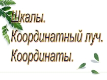 Презентация по математике Шкалы