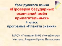 Проверка безударных окончаний имён прилагательных (программа Планета знаний)