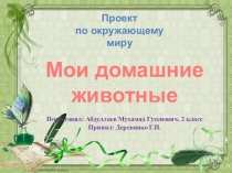 Презентация Мое домашнее животное