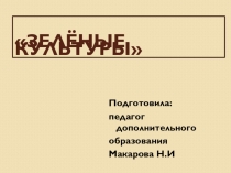 Презентация по экологии на тему Зелёные культуры (2 класс)