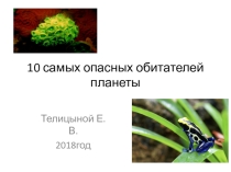 Презентация по теме  10 самых опасных обитателей нашей планеты