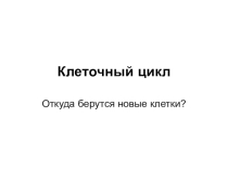 Презентация по биологии на темуКлеточный цикл(10 класс)