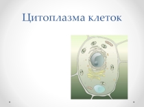 Презентация по предмету Естествознание, раздел Биология