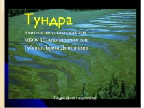 Презентация по окружающему миру на тему : Природные зоны. Тундра (4 класс)