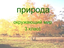 Презентация по окружающему миру на тему Природа. Ценность природы для людей