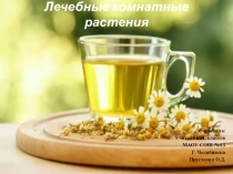 Презентация по коружающему миру на тему: лекарственные комнатные растения (2 класс)