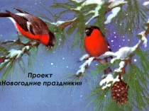 Презентация проекта Новогодние праздники (5 класс)