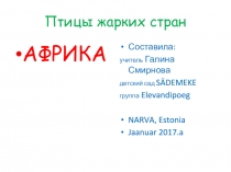 Презентация для детей детского сада Птицы жарких стран.