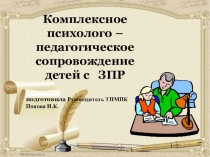 Комплексное психолого - педагогическое сопровождение детей с ЗПР