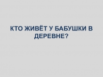 Презентация Кто живет у бабушки в деревне?