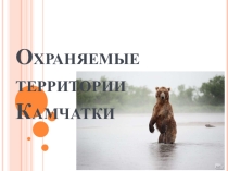 Охраняемые территории Камчатки- Интерактивная карта