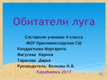 Ппрезентация к уроку Окружающий мир Обитатели луга (4 класс)