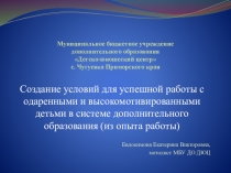 Создание условий для успешной работы с одаренными и высокомотивированными детьми в системе дополнительного образования (из опыта работы)