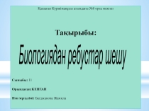 Химия пәніне арналған РЕБУС (11 класс)