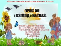 Презентация по окружающему миру на тему  Взгляд на глаз (4класс)