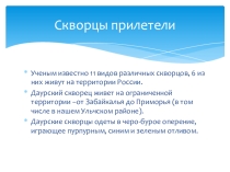Презентация к празднованию дня птиц Даурские скворцы