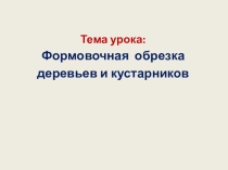 Формовочная обрезка деревьев и кустарников