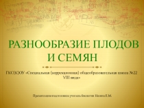 Разнообразие плодов и семян