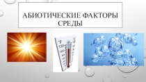 Презентация по экологии на тему Абиотические факторы среды