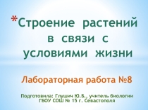 Презентация к лабораторной работе № 8 Строение растений в связи с условиями жизни (9 класс)