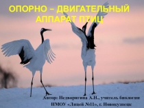 Местообитание и внешнее строение тела птиц