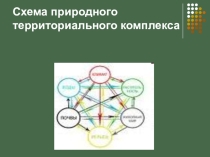 Презентация по теме ПТК