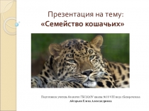 Презентация по биологии на тему:Семейство Кошачьих (8 класс)