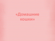 Презентация по окружающему миру на тему Домашние кошки