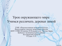 Учимся различать деревья зимой