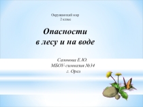 Презентация к уроку окружающего мира 2 класс Опасности в лесу и на воде