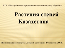 Презентация по ознакомлению с окружающим миром и экологии Растения степи