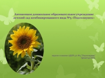 Презентация по работе педагога-психолога с воспитателями на тему Конфликтные ситуации в работе с родителями