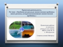 Презентация Экологические проблемы на локальном уровне