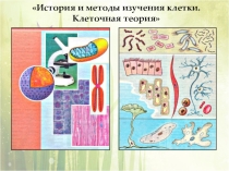 Презентация к уроку Клеточная теория 9 класс