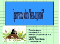 Презентация по математике Жизнь под землёй