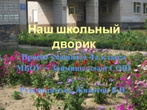 Презентация проекта Мой школьный дворик
