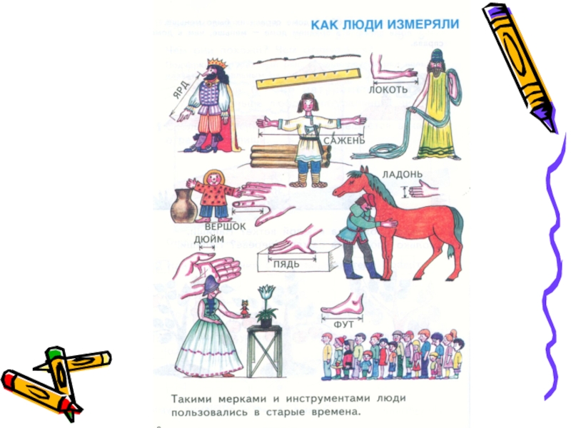 Презентация по теме Мастер на все руки