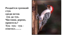 Презентация к занятию в подготовительной группе Дятел