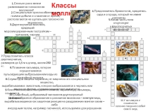 Презентация Кроссворд Классы моллюсков