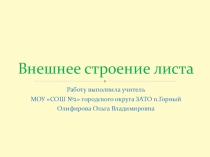 Презентация по биологии на тему Внешнее строение листа