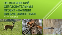 Экологический образовательный проект Напиши письмо животным