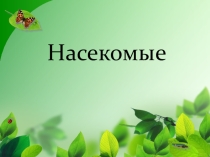 Презентация по теме Насекомые средняя группа