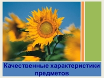 Дополнение -презентация к уроку Качественные характеристики предметов 5 класс (Афанасьева, Михеева)